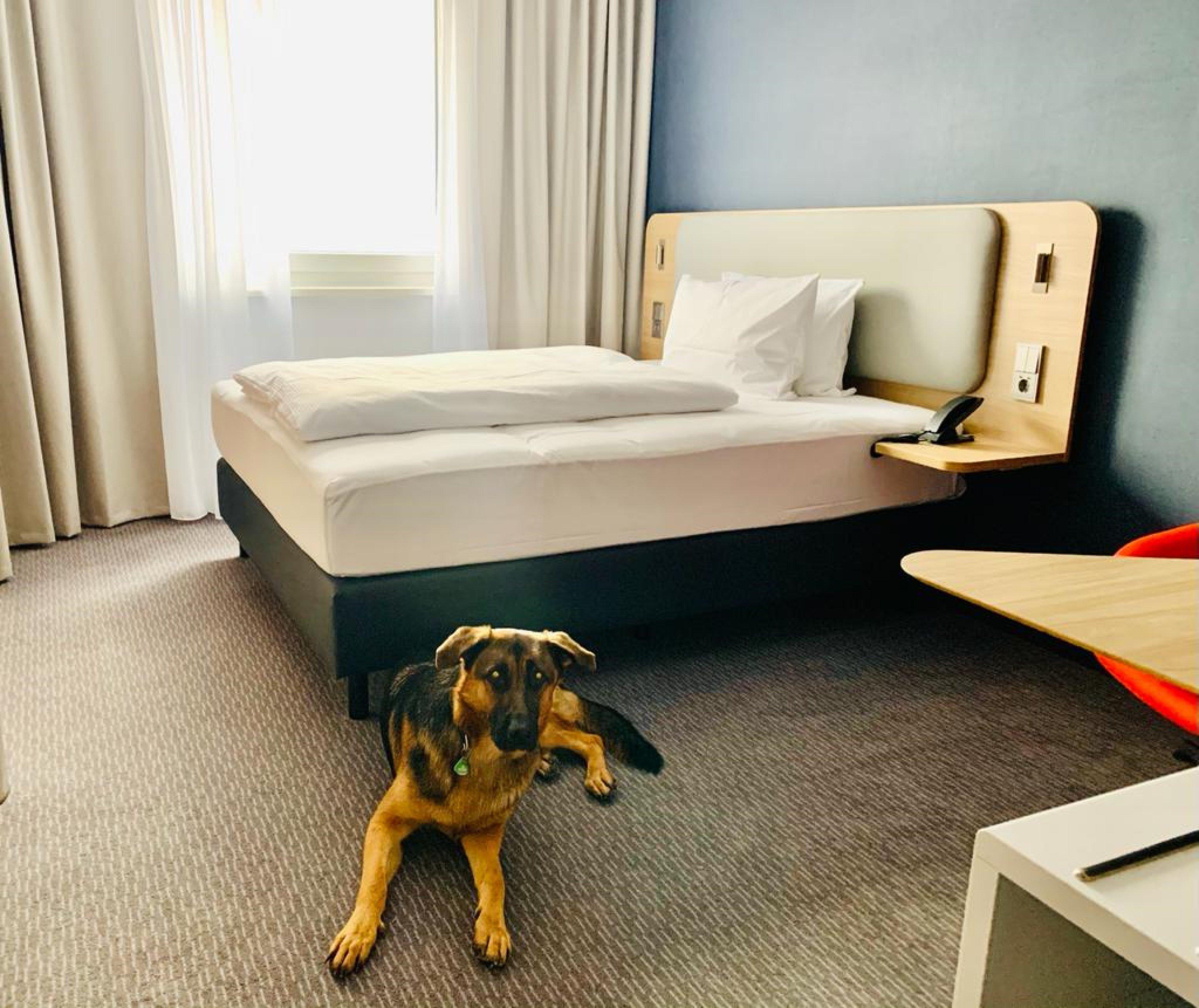 Holiday Inn Express Munich - Olching By Ihg מראה חיצוני תמונה